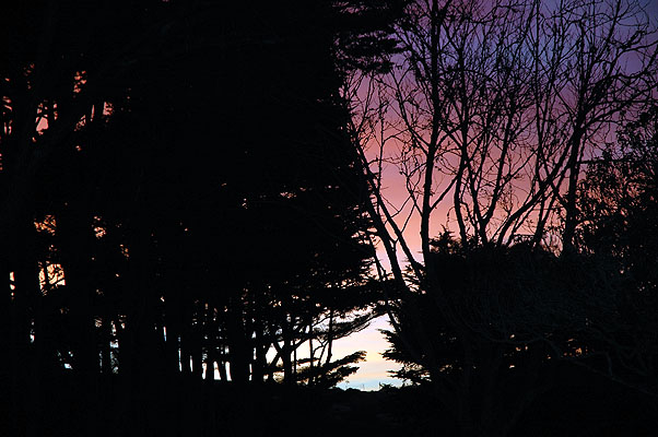 Cambria Friday Feb. 28, 2011 003.JPG
